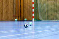Handboll 260915